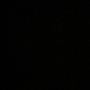 Meet your Posher, Sidney